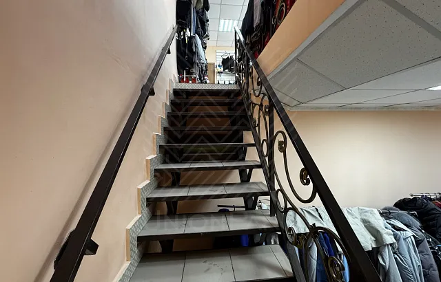 Photo #426314