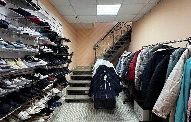 Photo #426313
